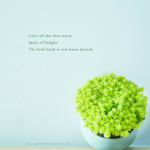 偷窥一区二洗澡胴体
