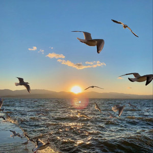 偷窥一区二洗澡胴体
